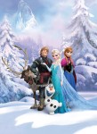 Mural Ref 4-498 frozen winterland