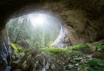 Mural ref 5078-4V-1_Cave-in-the-Forest
