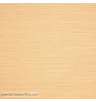 papel-de-parede-liso-textura-ocre-bz-053120